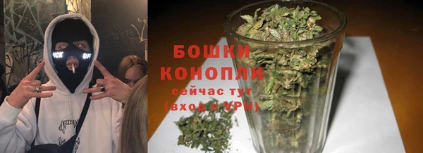 прущие грибы Новокубанск