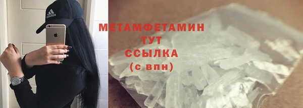 прущие грибы Новокубанск