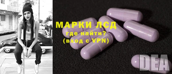 прущие грибы Новокубанск